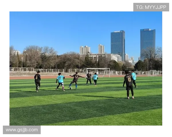 从绿茵场到世界舞台足球如何连接激情梦想与文化认同时代力量全球共鸣